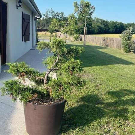 O20 Esprit Nature Sainte-Helene (Gironde) Exterior foto