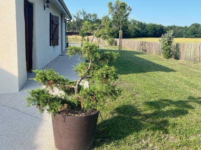 O20 Esprit Nature Sainte-Helene (Gironde) Exterior foto